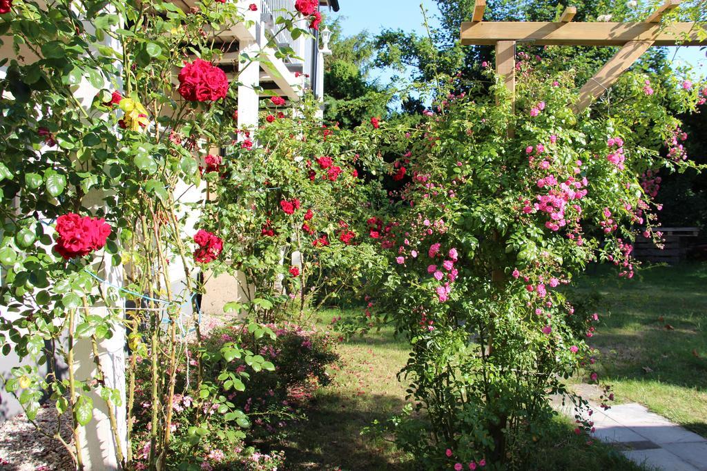 Beddingestrands Pensionat Rosengarden Skegrie Extérieur photo
